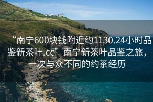 “南寧600塊錢附近約1130.24小時(shí)品鑒新茶葉.cc”南寧新茶葉品鑒之旅，一次與眾不同的約茶經(jīng)歷