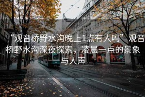 “觀音橋野水溝晚上1點有人嗎”觀音橋野水溝深夜探索，凌晨一點的景象與人聲