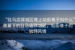 “駐馬店驛城區(qū)晚上站街巷子叫什么”夜幕下的駐馬店驛城區(qū)，站街巷子的獨特風情