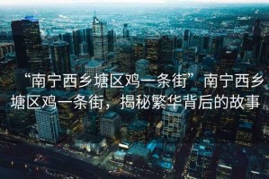 “南寧西鄉塘區雞一條街”南寧西鄉塘區雞一條街，揭秘繁華背后的故事