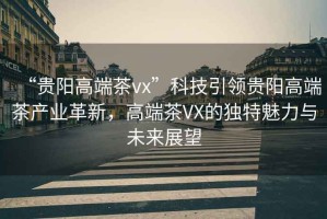 “貴陽(yáng)高端茶vx”科技引領(lǐng)貴陽(yáng)高端茶產(chǎn)業(yè)革新，高端茶VX的獨(dú)特魅力與未來(lái)展望