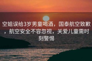 空姐誤給3歲男童喝酒，國泰航空致歉，航空安全不容忽視，關愛兒童需時刻警惕
