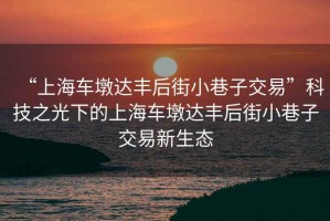 “上海車墩達豐后街小巷子交易”科技之光下的上海車墩達豐后街小巷子交易新生態