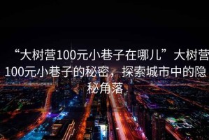 “大樹營100元小巷子在哪兒”大樹營100元小巷子的秘密，探索城市中的隱秘角落