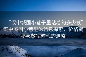 “漢中城固小巷子里站著的多少錢”漢中城固小巷里的信息探索，價格揭秘與數(shù)字時代的洞察