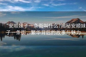 “安順妹子一條街叫什么?揭秘安順妹子一條街，繁華背后的故事與魅力