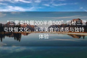 “三里屯快餐200半夜500”揭秘三里屯快餐文化，深夜美食的誘惑與獨特體驗