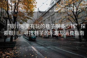 “銀川哪里有玩的巷子啊多少錢”探索銀川，尋找巷子的樂趣與消費指南
