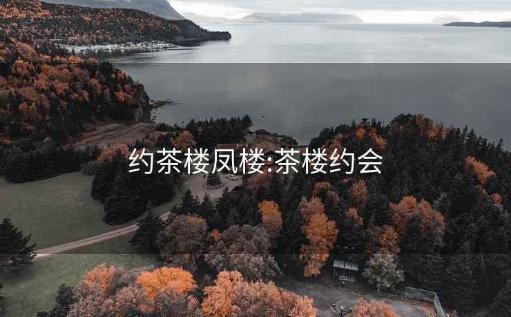 約茶樓鳳樓:茶樓約會