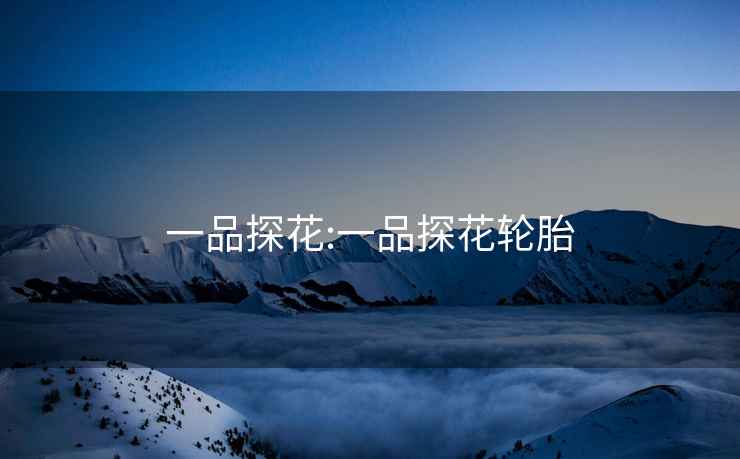 一品探花:一品探花輪胎