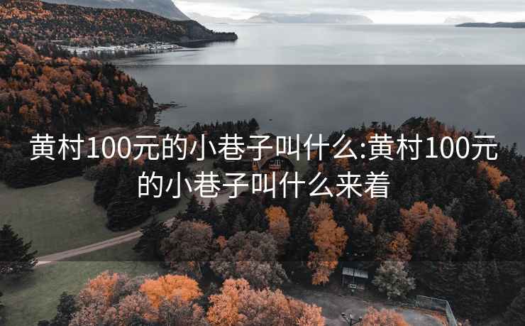 黃村100元的小巷子叫什么:黃村100元的小巷子叫什么來著