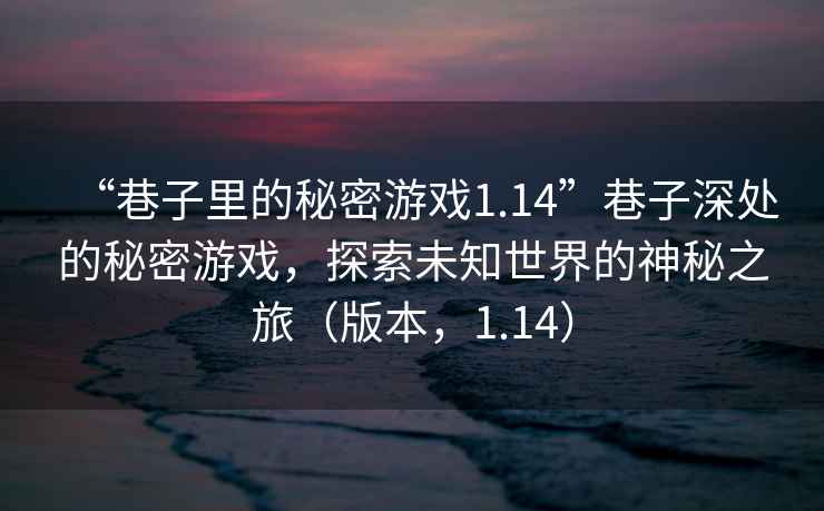 “巷子里的秘密游戲1.14”巷子深處的秘密游戲，探索未知世界的神秘之旅（版本，1.14）