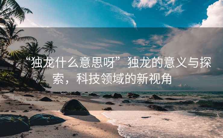 “獨(dú)龍什么意思呀”獨(dú)龍的意義與探索，科技領(lǐng)域的新視角