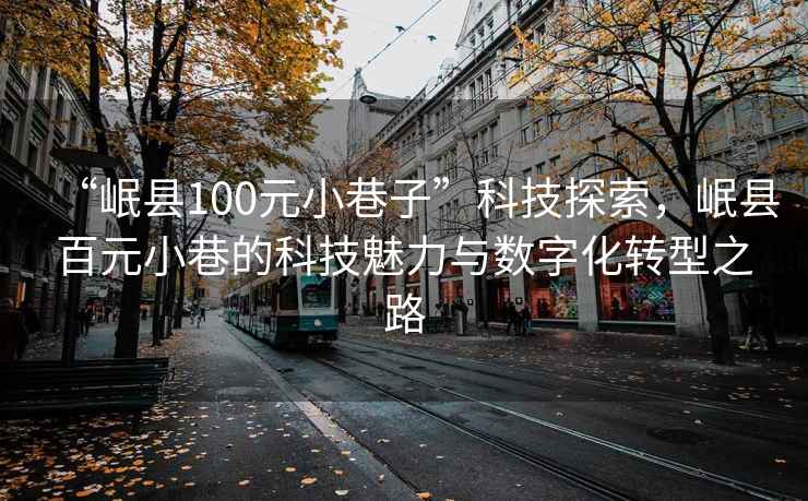 “岷縣100元小巷子”科技探索，岷縣百元小巷的科技魅力與數(shù)字化轉(zhuǎn)型之路