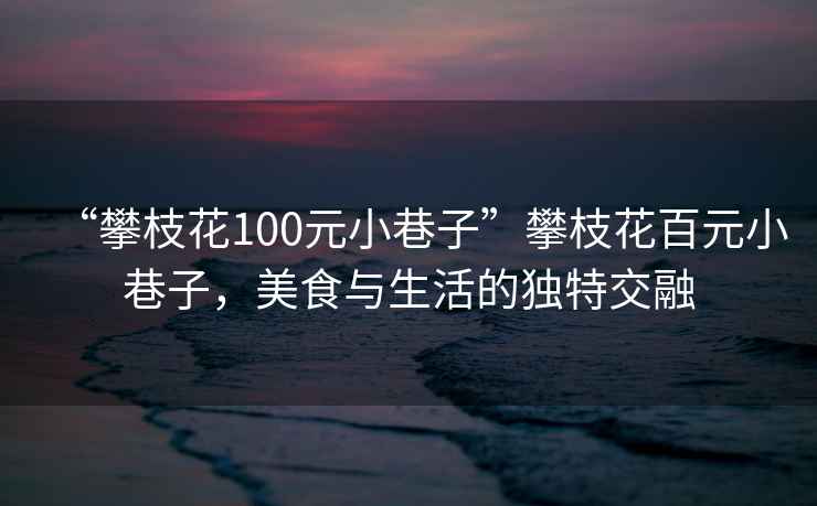“攀枝花100元小巷子”攀枝花百元小巷子，美食與生活的獨特交融