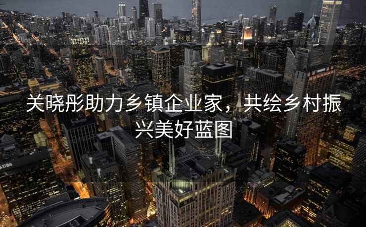 關曉彤助力鄉鎮企業家，共繪鄉村振興美好藍圖
