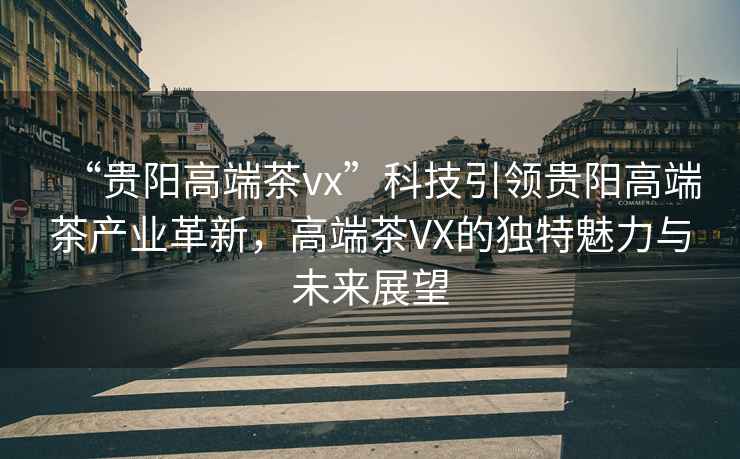 “貴陽高端茶vx”科技引領貴陽高端茶產業革新，高端茶VX的獨特魅力與未來展望