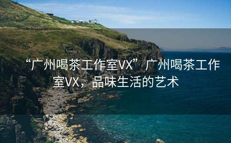 “廣州喝茶工作室VX”廣州喝茶工作室VX，品味生活的藝術(shù)
