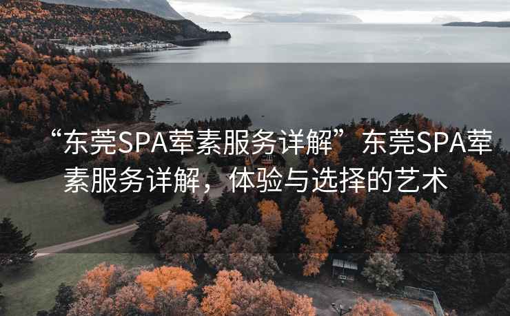 “東莞SPA葷素服務(wù)詳解”東莞SPA葷素服務(wù)詳解，體驗(yàn)與選擇的藝術(shù)