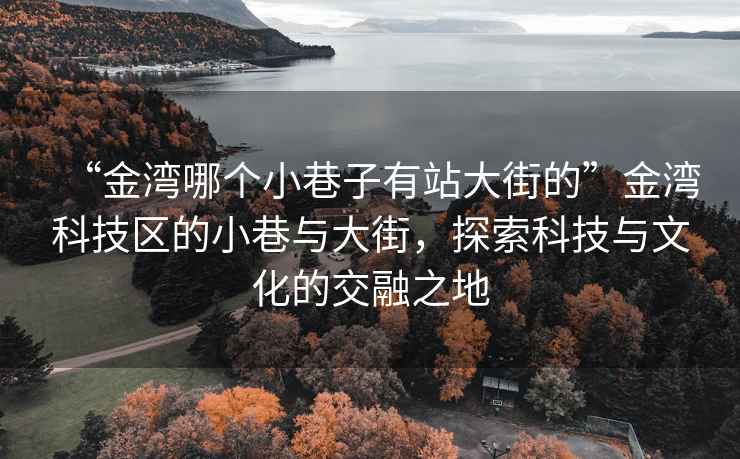“金灣哪個小巷子有站大街的”金灣科技區的小巷與大街，探索科技與文化的交融之地