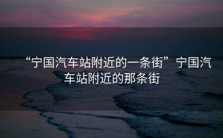 “寧國汽車站附近的一條街”寧國汽車站附近的那條街