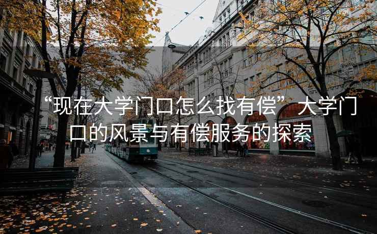 “現在大學門口怎么找有償”大學門口的風景與有償服務的探索