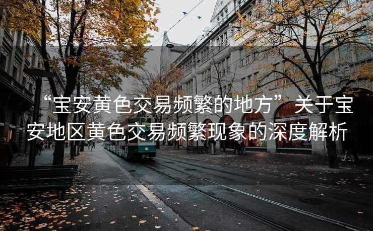 “寶安黃色交易頻繁的地方”關(guān)于寶安地區(qū)黃色交易頻繁現(xiàn)象的深度解析