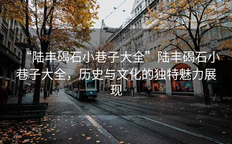 “陸豐碣石小巷子大全”陸豐碣石小巷子大全，歷史與文化的獨特魅力展現(xiàn)