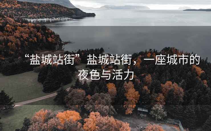 “鹽城站街”鹽城站街，一座城市的夜色與活力