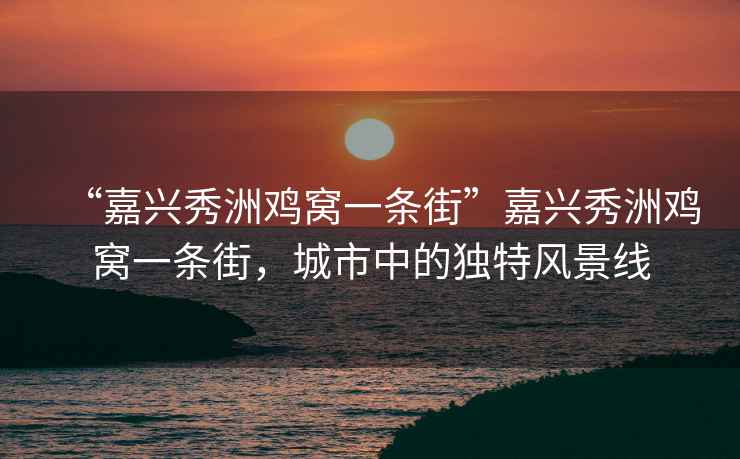 “嘉興秀洲雞窩一條街”嘉興秀洲雞窩一條街，城市中的獨特風景線