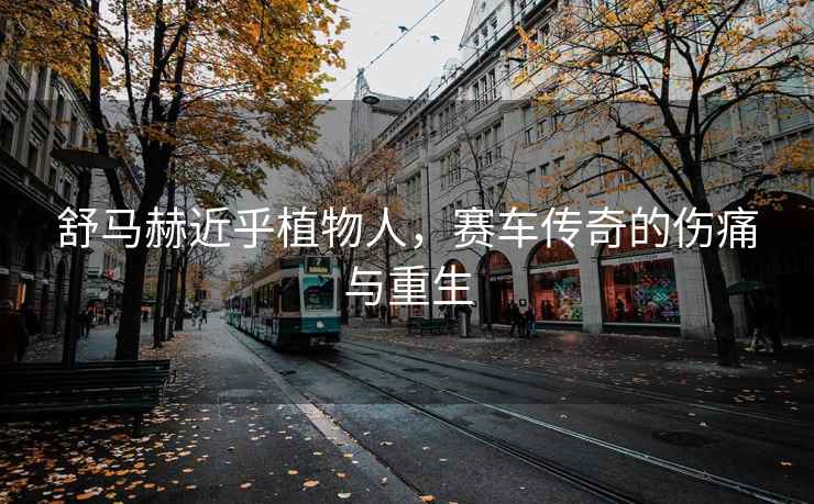 舒馬赫近乎植物人，賽車傳奇的傷痛與重生