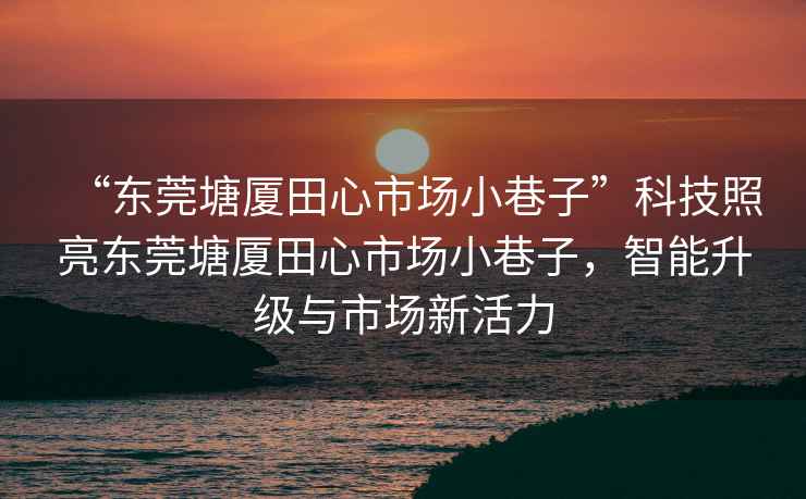 “東莞塘廈田心市場(chǎng)小巷子”科技照亮東莞塘廈田心市場(chǎng)小巷子，智能升級(jí)與市場(chǎng)新活力