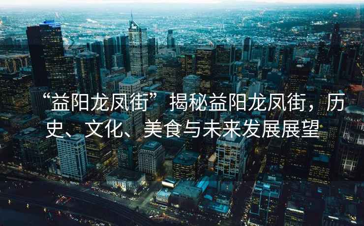 “益陽龍鳳街”揭秘益陽龍鳳街，歷史、文化、美食與未來發(fā)展展望