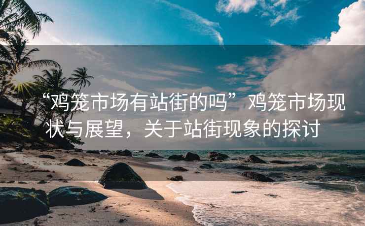 “雞籠市場有站街的嗎”雞籠市場現狀與展望，關于站街現象的探討