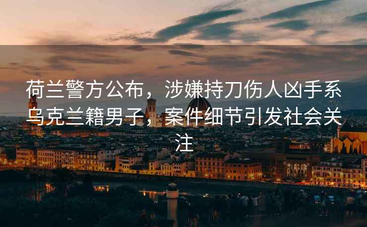 荷蘭警方公布，涉嫌持刀傷人兇手系烏克蘭籍男子，案件細節引發社會關注