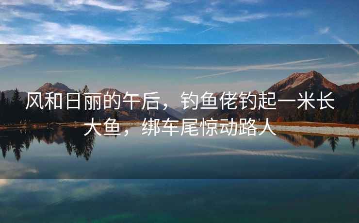風和日麗的午后，釣魚佬釣起一米長大魚，綁車尾驚動路人