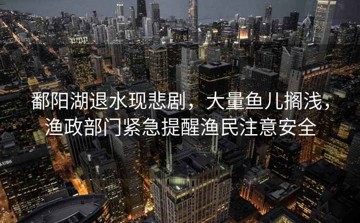 鄱陽湖退水現(xiàn)悲劇，大量魚兒擱淺，漁政部門緊急提醒漁民注意安全