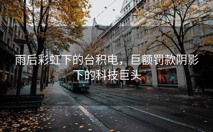 雨后彩虹下的臺積電，巨額罰款陰影下的科技巨頭