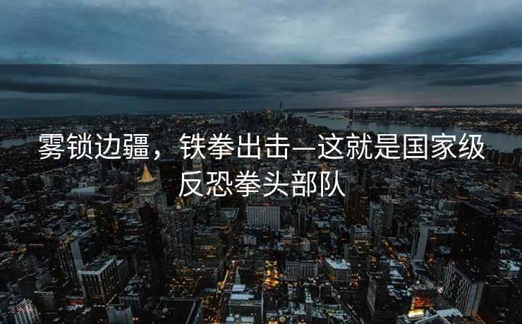 霧鎖邊疆，鐵拳出擊—這就是國家級反恐拳頭部隊