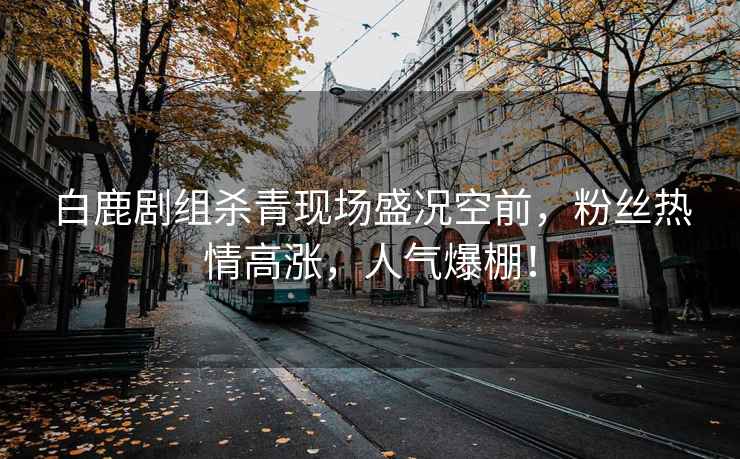 白鹿劇組殺青現(xiàn)場盛況空前，粉絲熱情高漲，人氣爆棚！