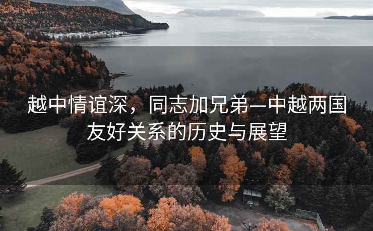 越中情誼深，同志加兄弟—中越兩國友好關(guān)系的歷史與展望
