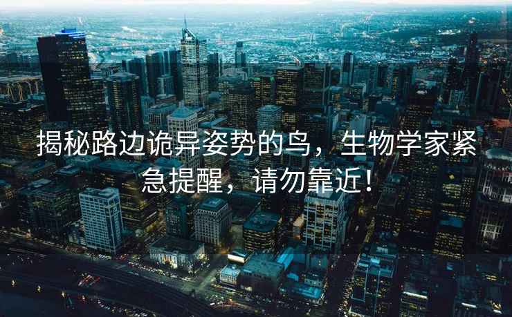揭秘路邊詭異姿勢的鳥，生物學(xué)家緊急提醒，請勿靠近！
