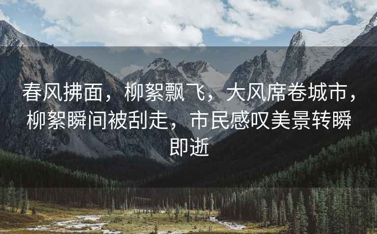 春風拂面，柳絮飄飛，大風席卷城市，柳絮瞬間被刮走，市民感嘆美景轉瞬即逝