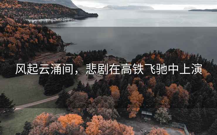 風起云涌間，悲劇在高鐵飛馳中上演