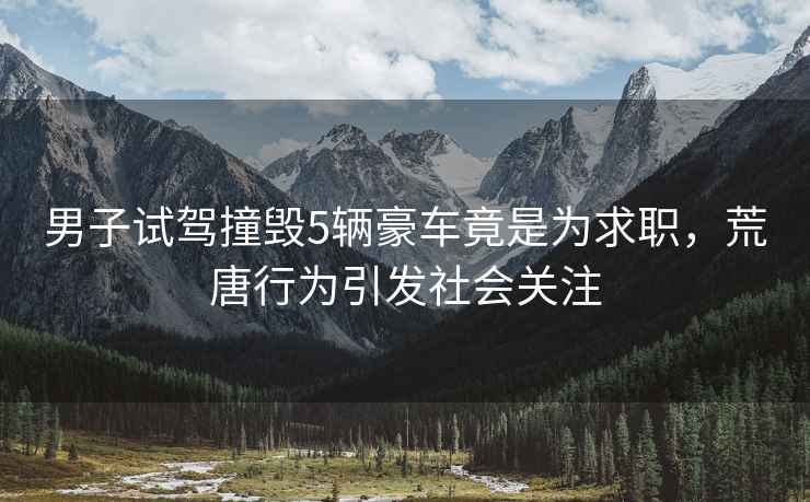 男子試駕撞毀5輛豪車竟是為求職，荒唐行為引發社會關注