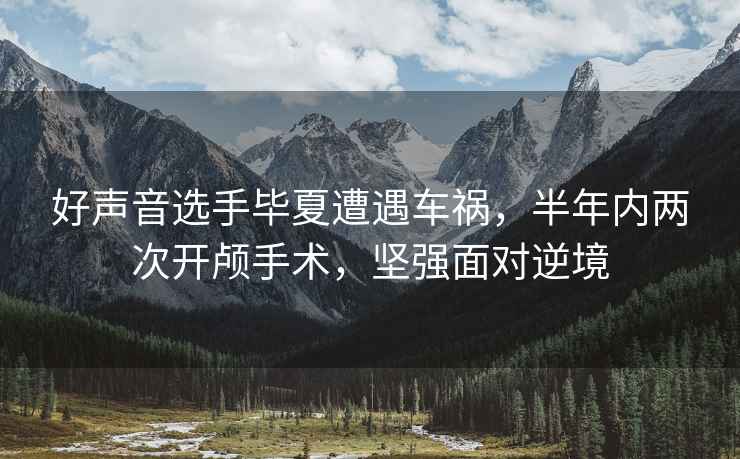 好聲音選手畢夏遭遇車禍，半年內兩次開顱手術，堅強面對逆境