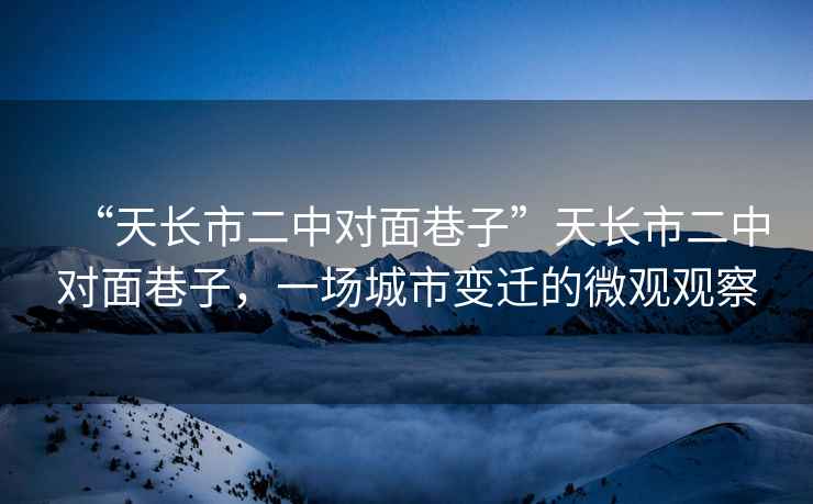 “天長市二中對面巷子”天長市二中對面巷子，一場城市變遷的微觀觀察
