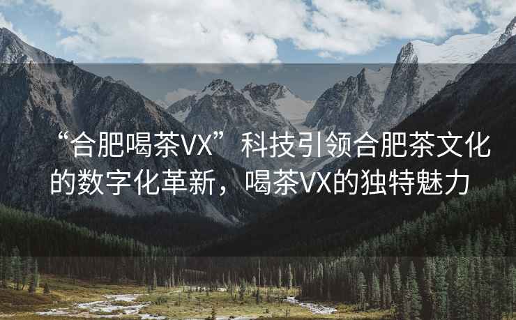 “合肥喝茶VX”科技引領合肥茶文化的數字化革新，喝茶VX的獨特魅力