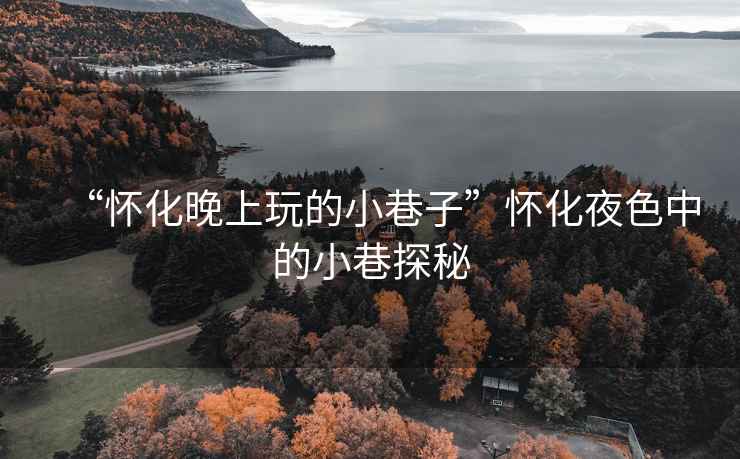 “懷化晚上玩的小巷子”懷化夜色中的小巷探秘