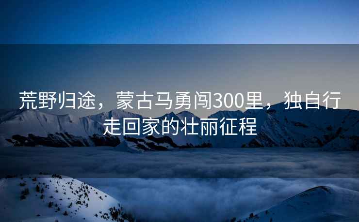 荒野歸途，蒙古馬勇闖300里，獨自行走回家的壯麗征程